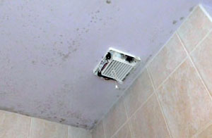 Mouldy ceiling