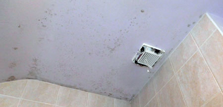 Mouldy Ceiling